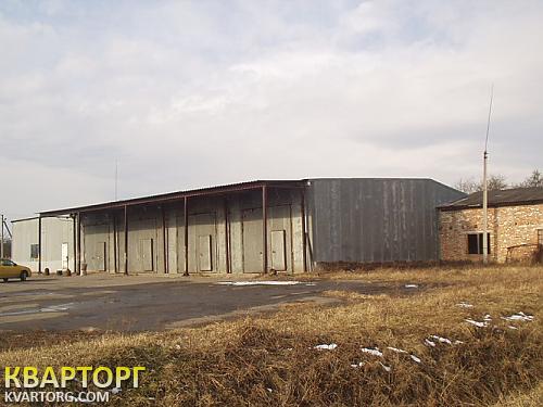 Sell warehouse. Львов, Куровичи — photo 3