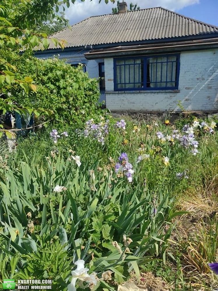 Sell house. Киевская обл., Великі Прицьки — photo 1