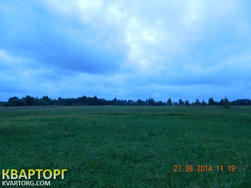 Sell house. Житомир, Загута — photo 5