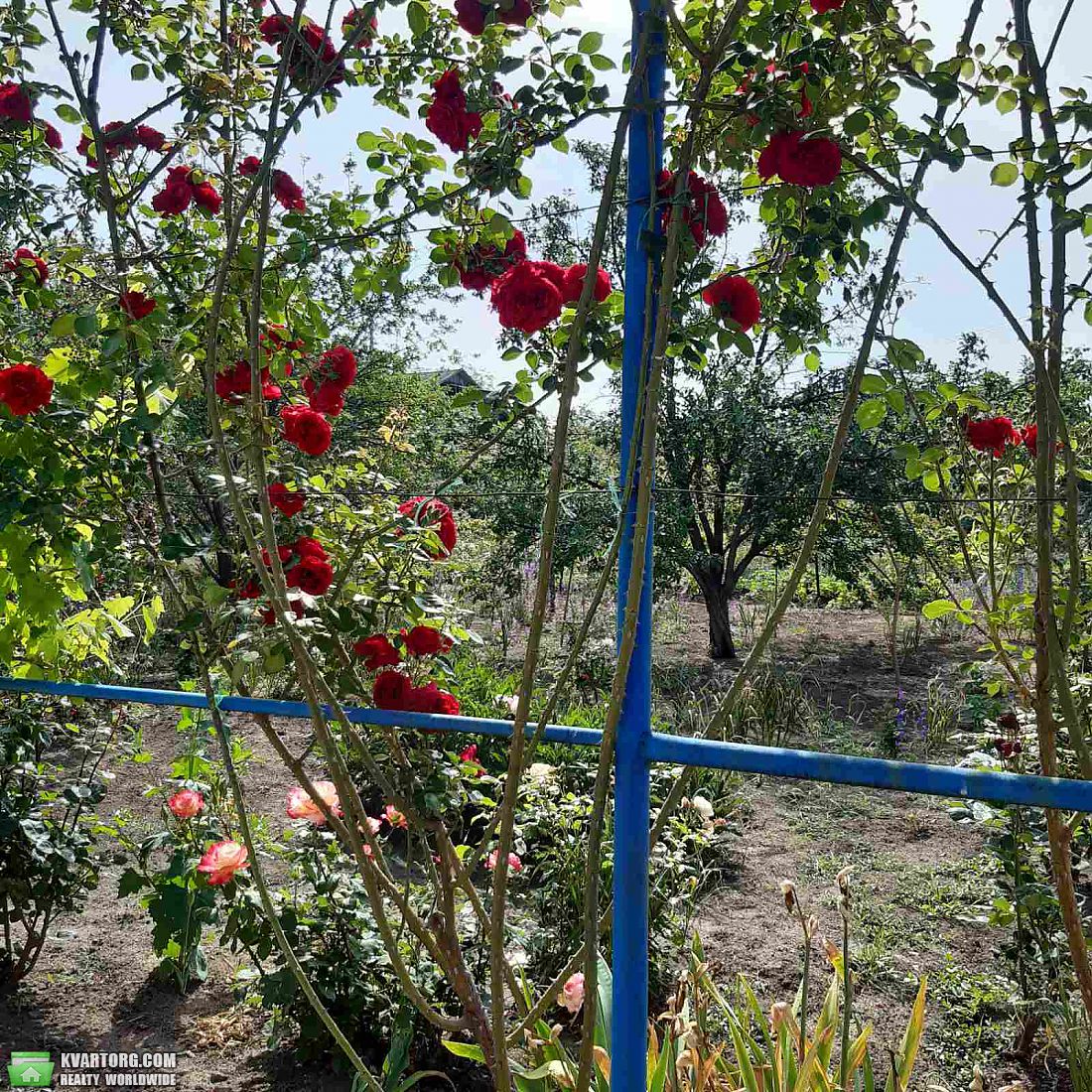 Sell house. Одесса, 1-я Линия — photo 2