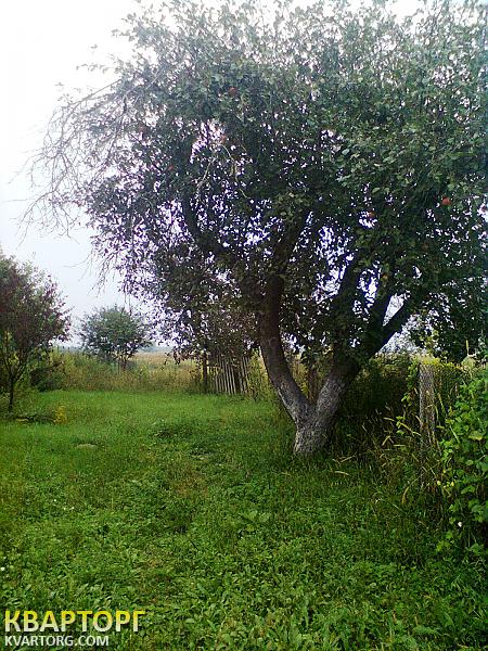 Sell house. Киевская обл., Ленина — photo 2