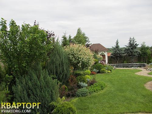Rent out house. Киевская обл., ходосовка — photo 4