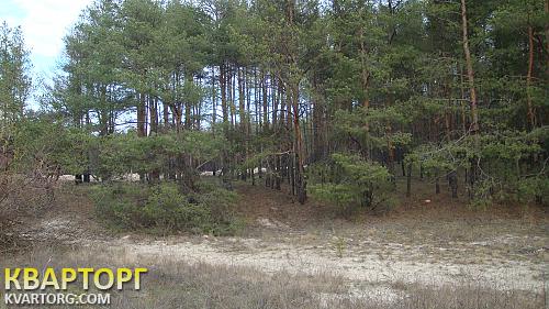 Sell house. Днепропетровск, с/т Здоровье — photo 10