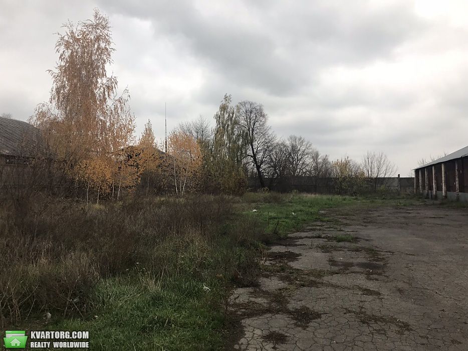 Sell warehouse. Киевская обл., Январский прорыв — photo 5