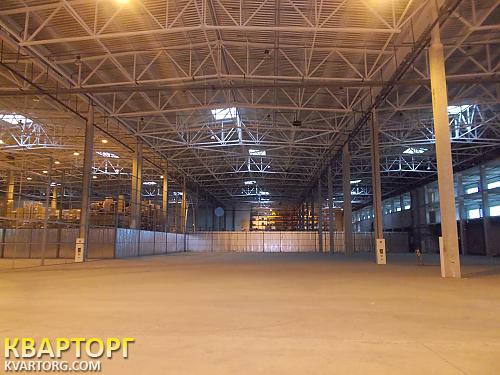 Rent out warehouse. Киевская обл., Софиевская — photo 2