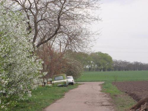 Sell house. Киевская обл., киевская — photo 5