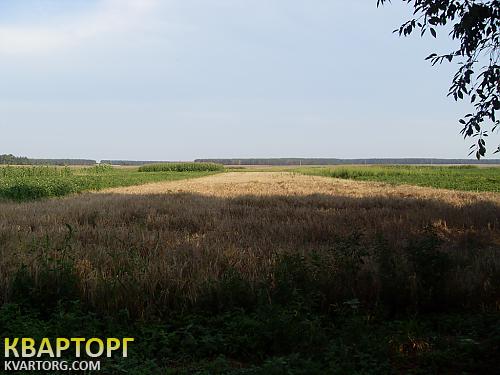 Sell house. Киевская обл., Рогозов — photo 4