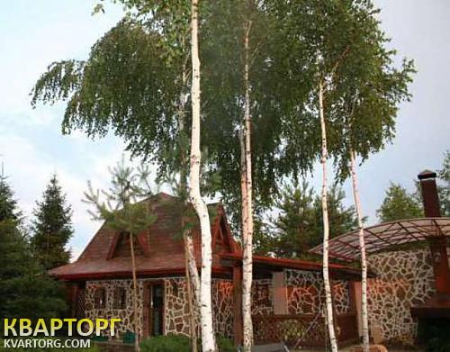 Rent out house. Киевская обл., Новые Безрадичи — photo 9