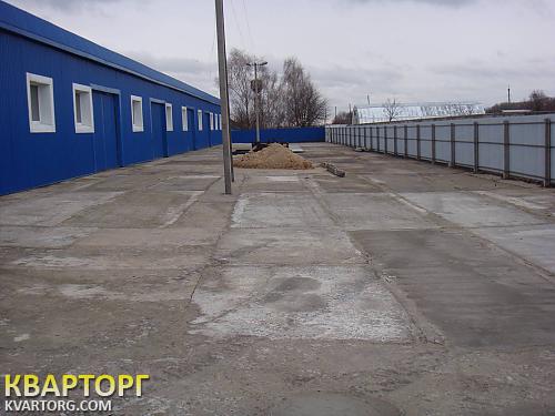 Rent out warehouse. Борисполь, Совхозная — photo 9