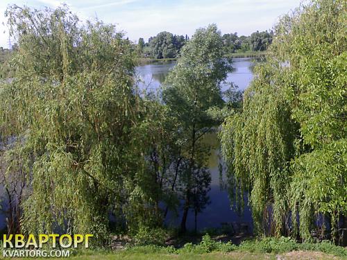 Rent out house. Киевская обл., Заборье — photo 2