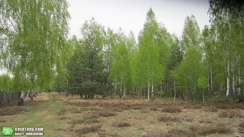 Sell house. Киевская обл., Дачная — photo 9