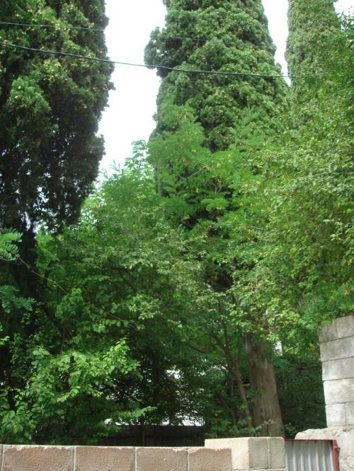 Sell house. АР Крым, Нагорная — photo 8