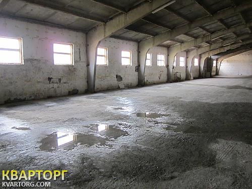 Rent out warehouse. Киевская обл., Гореничи — photo 4