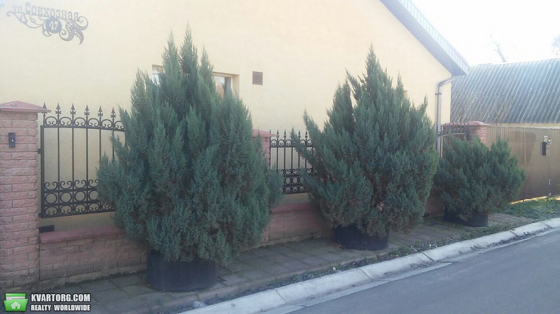 Sell house. Бровары, Коновальца — photo 1
