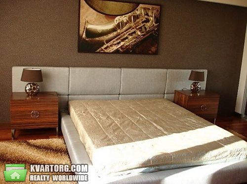 Rent out house. Киевская обл., Новые Безрадичи — photo 9