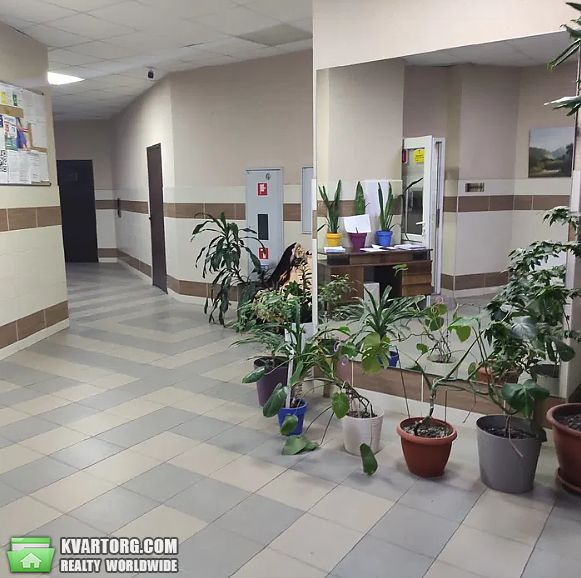 Rent out 1-room apartment. Киев, пр.Глушкова — photo 1
