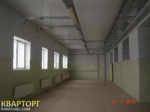 Rent out warehouse. Киев, с. Калиновка — photo 3