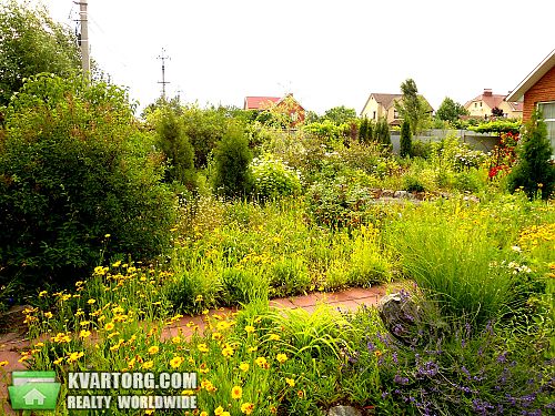 Sell house. Киевская обл., с. ГОТНЕ вул. Курганна — photo 2