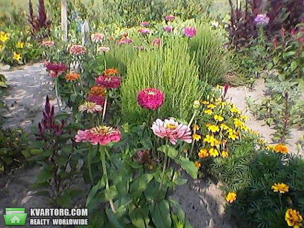 Sell house. Киевская обл., с. Мотовиловская слободка — photo 6