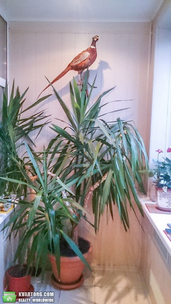 Sell 3-room apartment. Днепропетровск, Суворова — photo 1