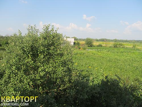 Sell house. Киевская обл., Недра — photo 5