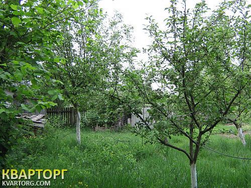 Sell house. Киевская обл., Небрат — photo 7