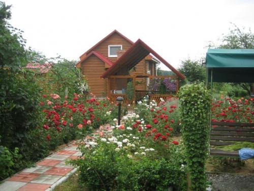 Rent out house. Киевская обл., Броварская — photo 1