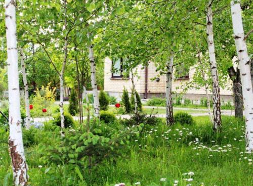 Rent out house. Киевская обл., Шевченко — photo 9