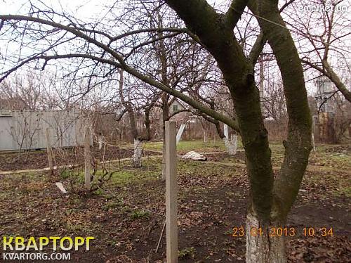 Sell house. Одесса, с. Светлое — photo 3