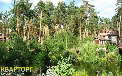 Rent out house. Киевская обл., Романков — photo 8