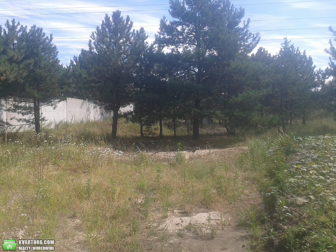 Sell house. Обухов, Мижгоря — photo 3