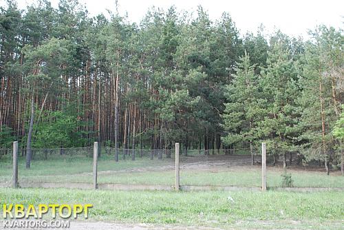 Sell house. Киевская обл., кооп. Прилесье — photo 10