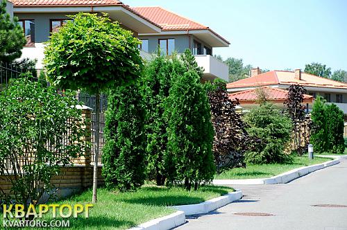 Sell house. Киевская обл., струмковая — photo 6