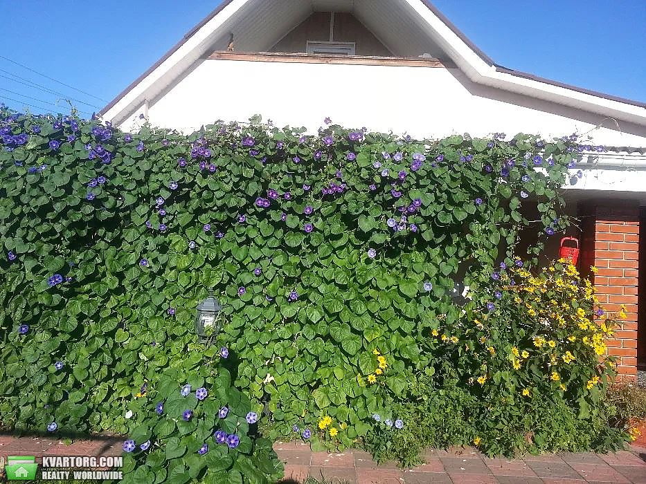 Sell house. Киевская обл.,  Садовая — photo 1