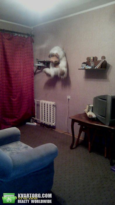 Sell 2-room apartment. Киев,  Петропавловская — photo 4