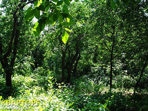 Rent out house. Киев, Азовская — photo 9