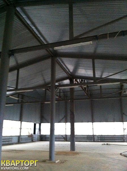 Rent out warehouse. Киев, Бородянский район с. Небрат ул. Гутниченко — photo 8