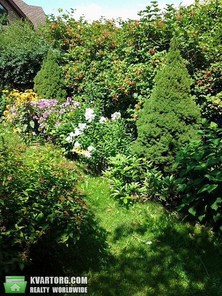 Rent out house. Киевская обл., Соловьяненко — photo 1