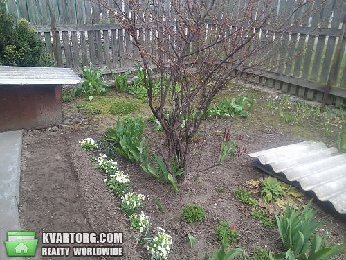Sell house. Киевская обл., Ленина — photo 4