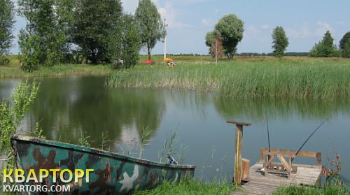 Sell house. Киевская обл., вабля — photo 4