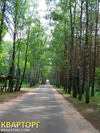 Rent out house. Киевская обл., Лютеж — photo 1