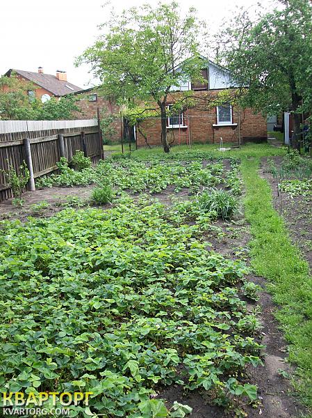 Sell house. Киев, Калініна — photo 7