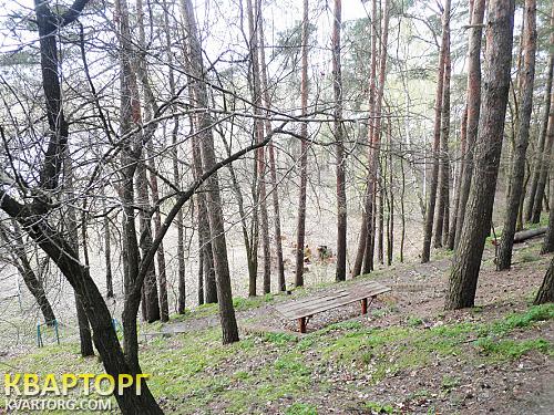 Rent out house. Черкассы, Чапаевка — photo 1