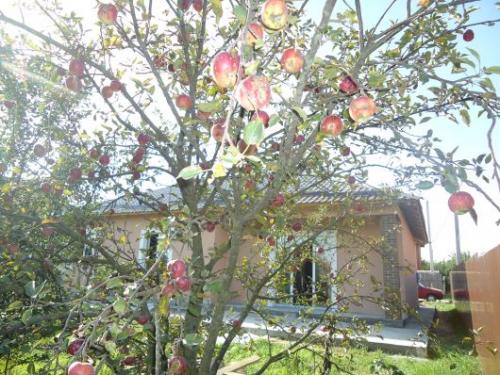 Sell house. Киевская обл., Буча — photo 3