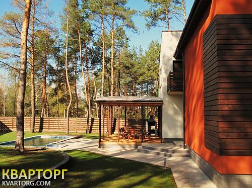 Rent out house. Киевская обл., Новые Безрадичи — photo 3