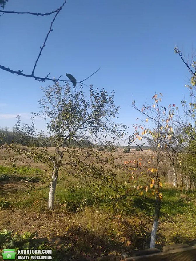 Sell house. Киевская обл., с.Плахтянка — photo 4