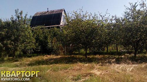 Sell house. Киевская обл., с. Калиновка — photo 6