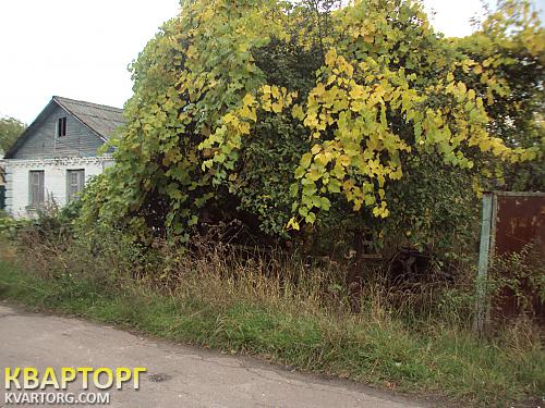 Sell house. Киевская обл., луговой — photo 1