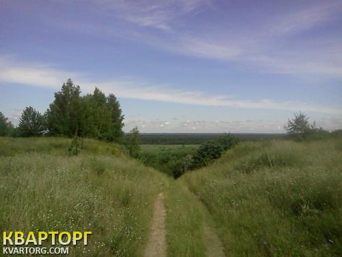 Rent out house. Чернигов, с Голубовка — photo 4