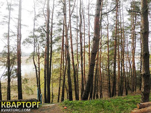 Rent out house. Черкассы, Чапаевка — photo 2
